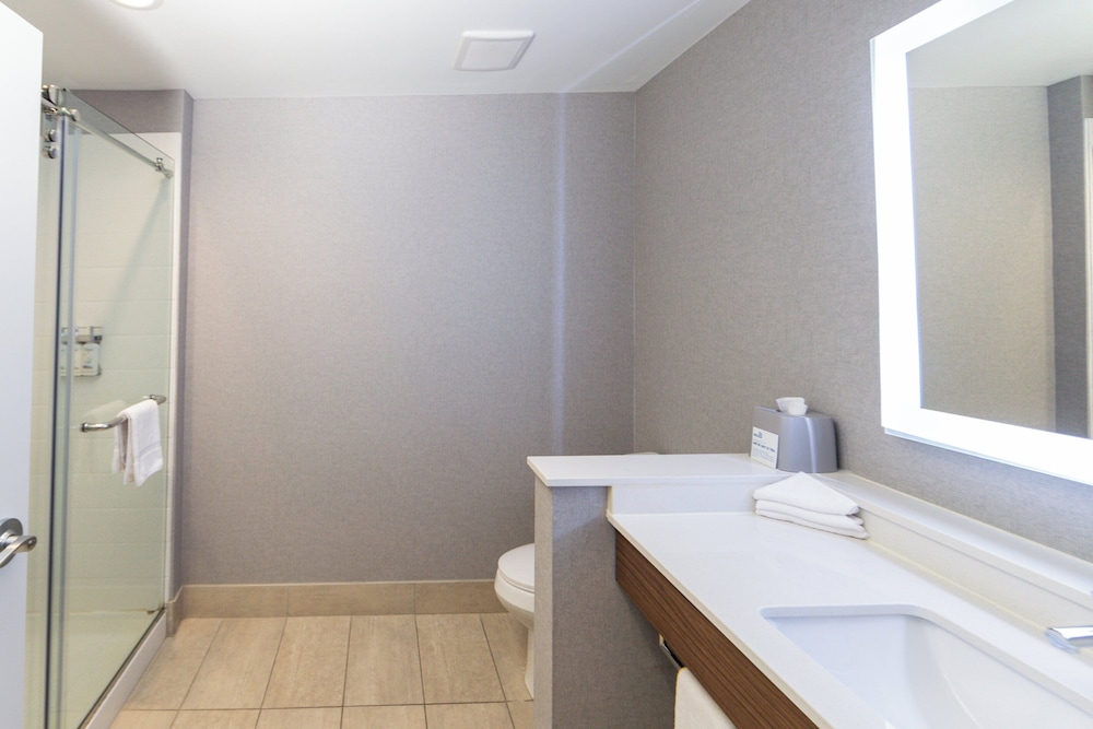 Holiday Inn Express Grand Island Niagara Falls by IHG - photo 18