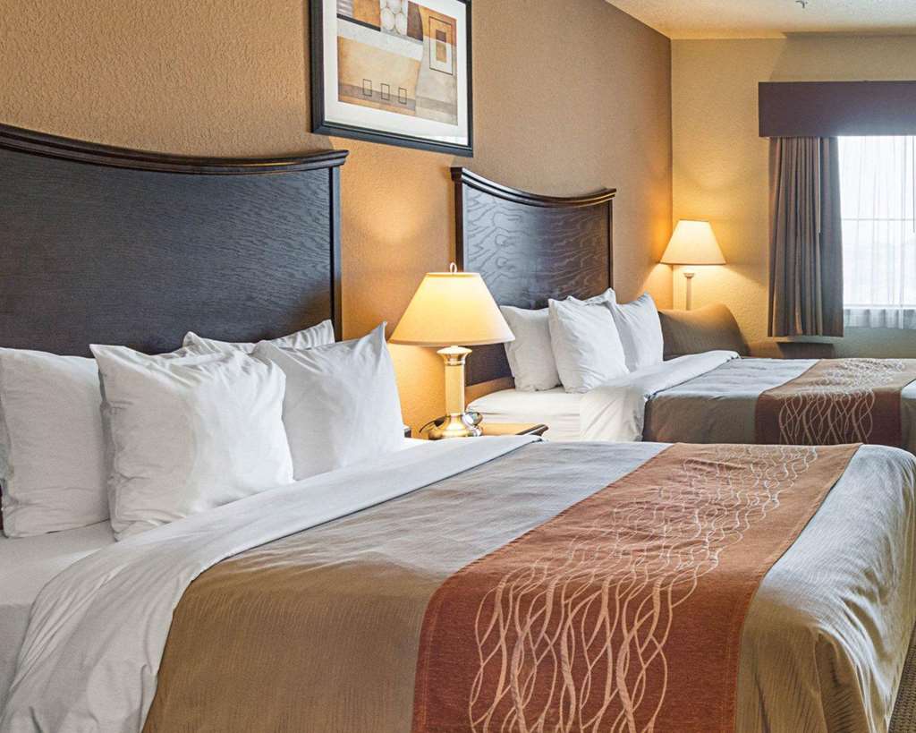 Comfort Inn I 20 Midland Stanton - photo 19