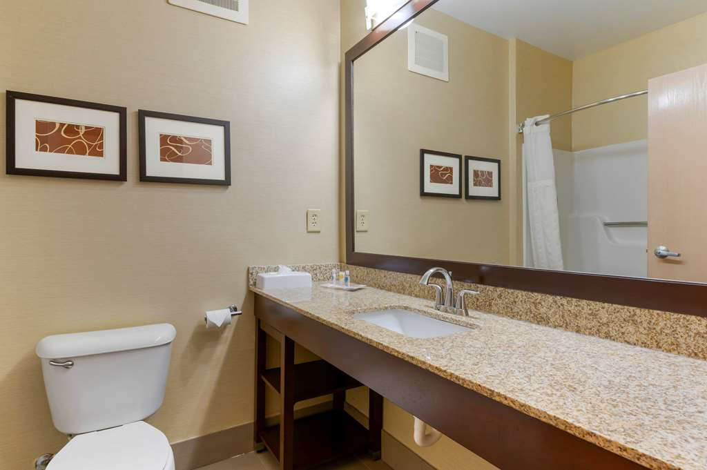 Comfort Suites Columbus Expo Center - photo 17
