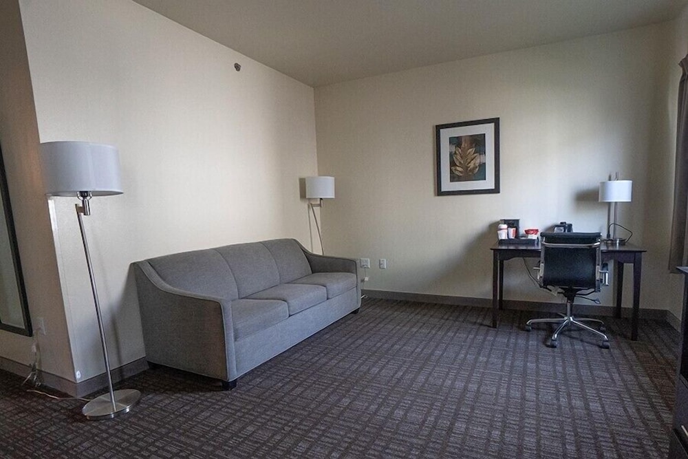 Cobblestone Inn & Suites Sheldon - photo 21