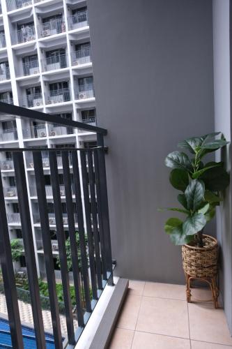 Staycation near Mall of Asia Condotel with King Bed — 4-Star Luxury Hotel in Manila, Philippines