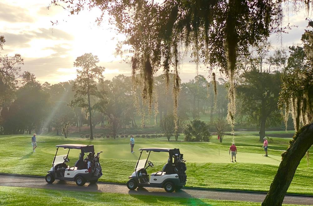 Innisbrook Resort - photo 66