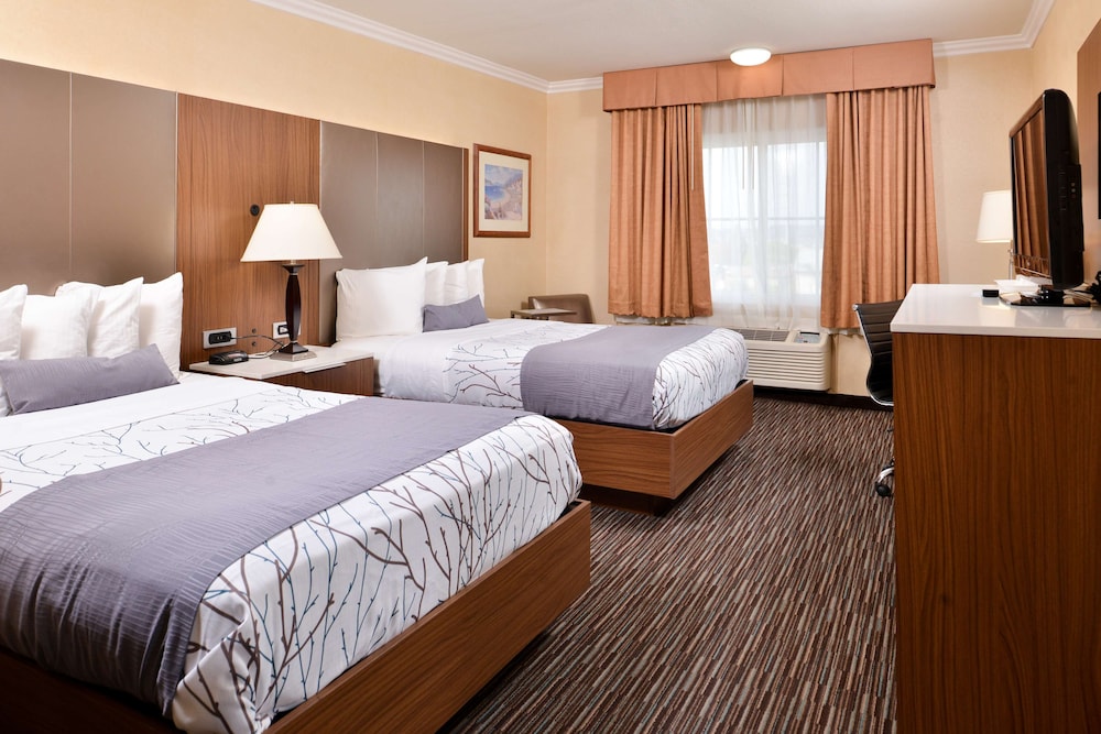 Best Western Airpark Hotel LAX Airport LA Stadium - photo 10