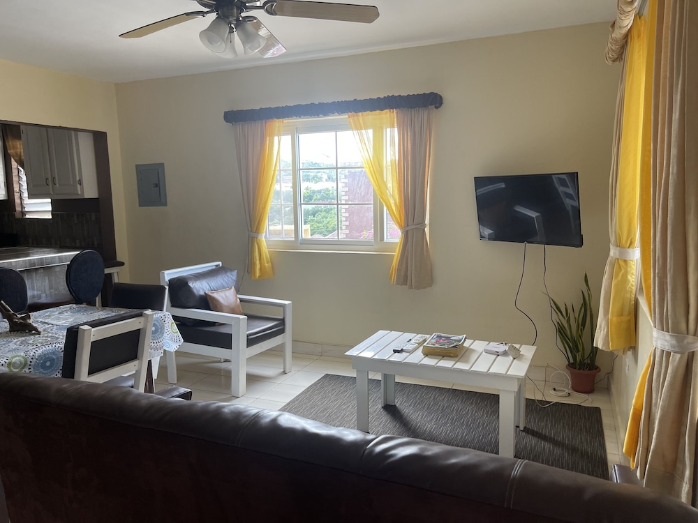 Pirate Palms in Kingston, Jamaica