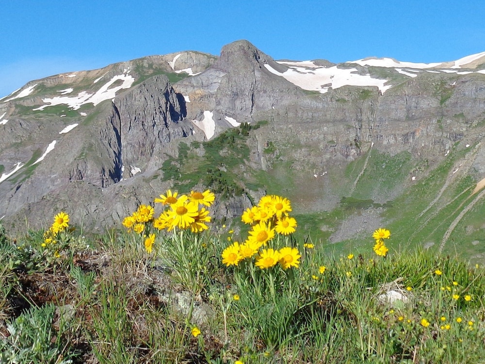 Ouray Inn - photo 51