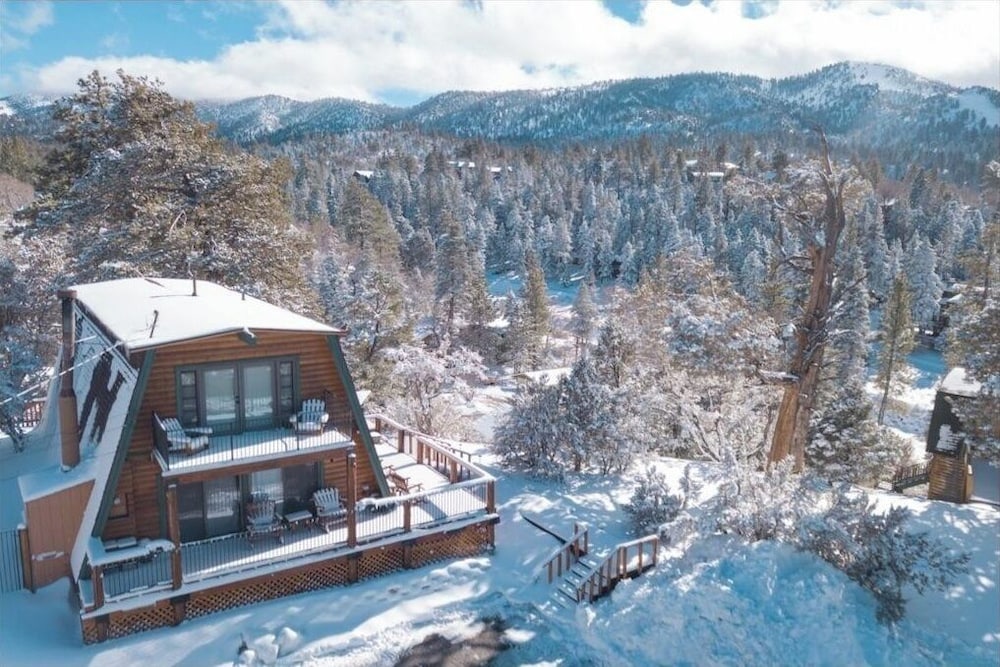 Bearadise Views - photo 17