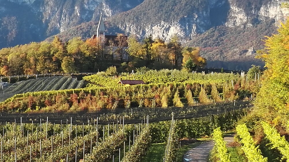 Kerschbamerhof Im Suden Sudtirols — 4-Star Luxury Hotel in Cortaccia Sulla Strada Del Vino, Italy
