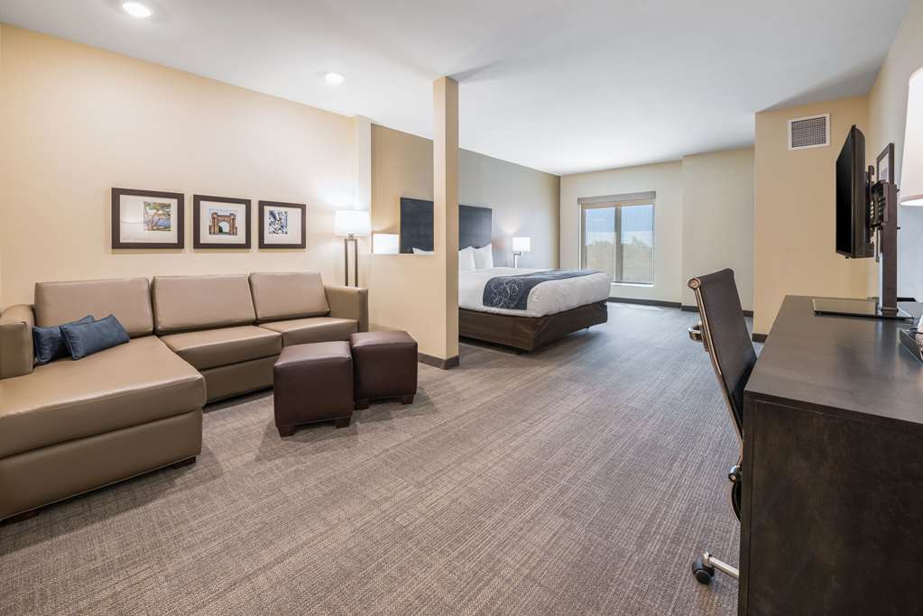 Comfort Suites Marysville Columbus Northwest - photo 26