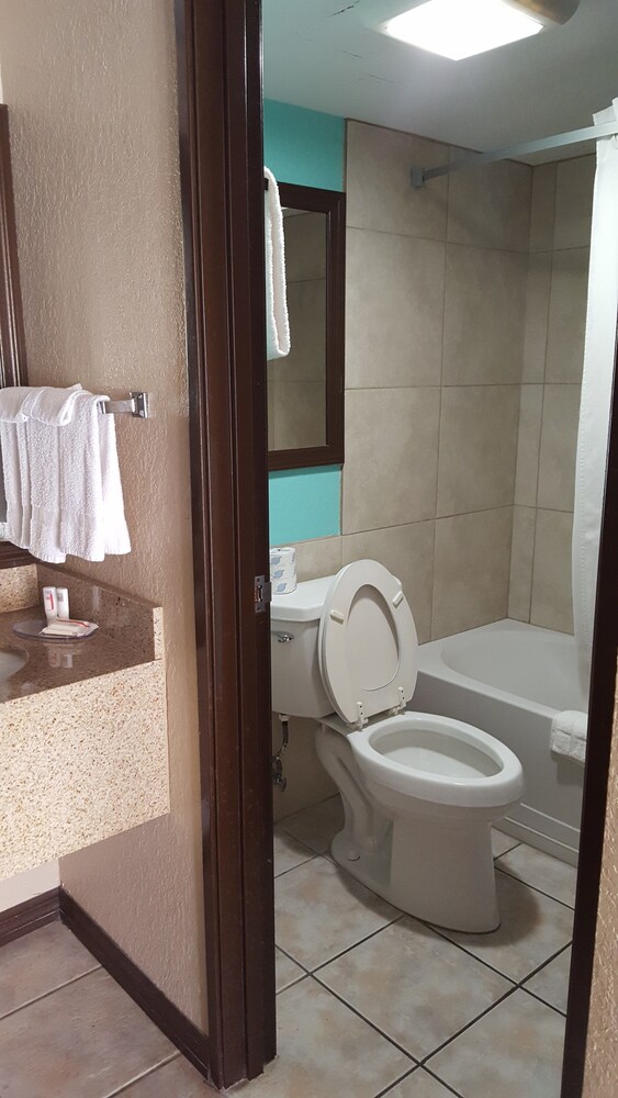 Super 8 by Wyndham Naples - photo 11