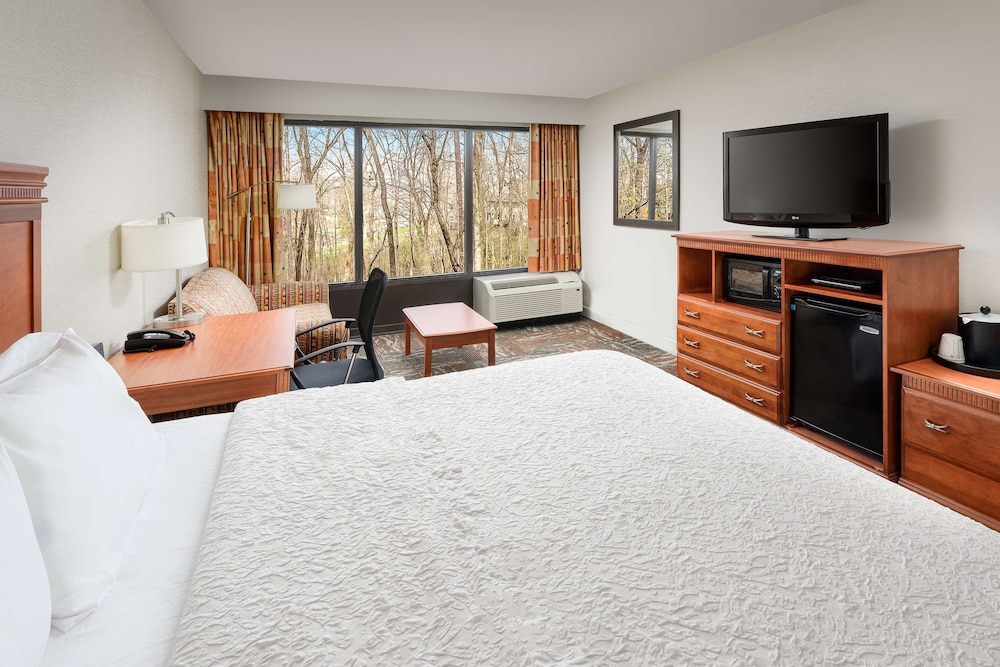 Hampton Inn Oak Ridge Knoxville - photo 3