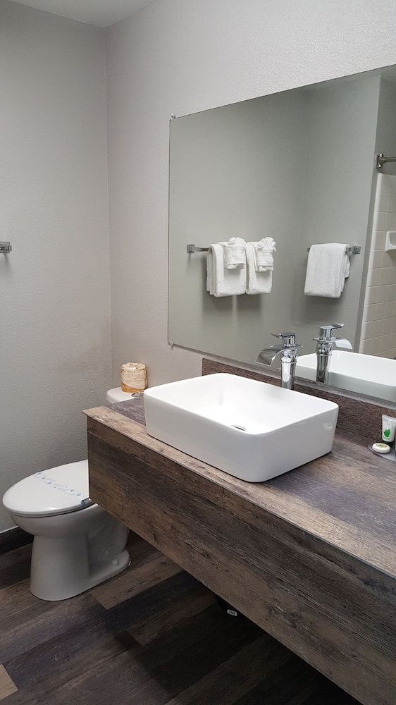 Lake Ridge Hotel - photo 49