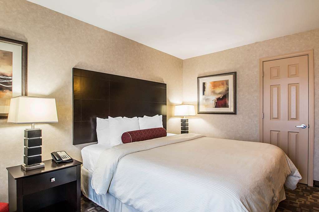 Clarion Inn Elmhurst Oak Brook near I 88 I 290 I 294 - photo 14