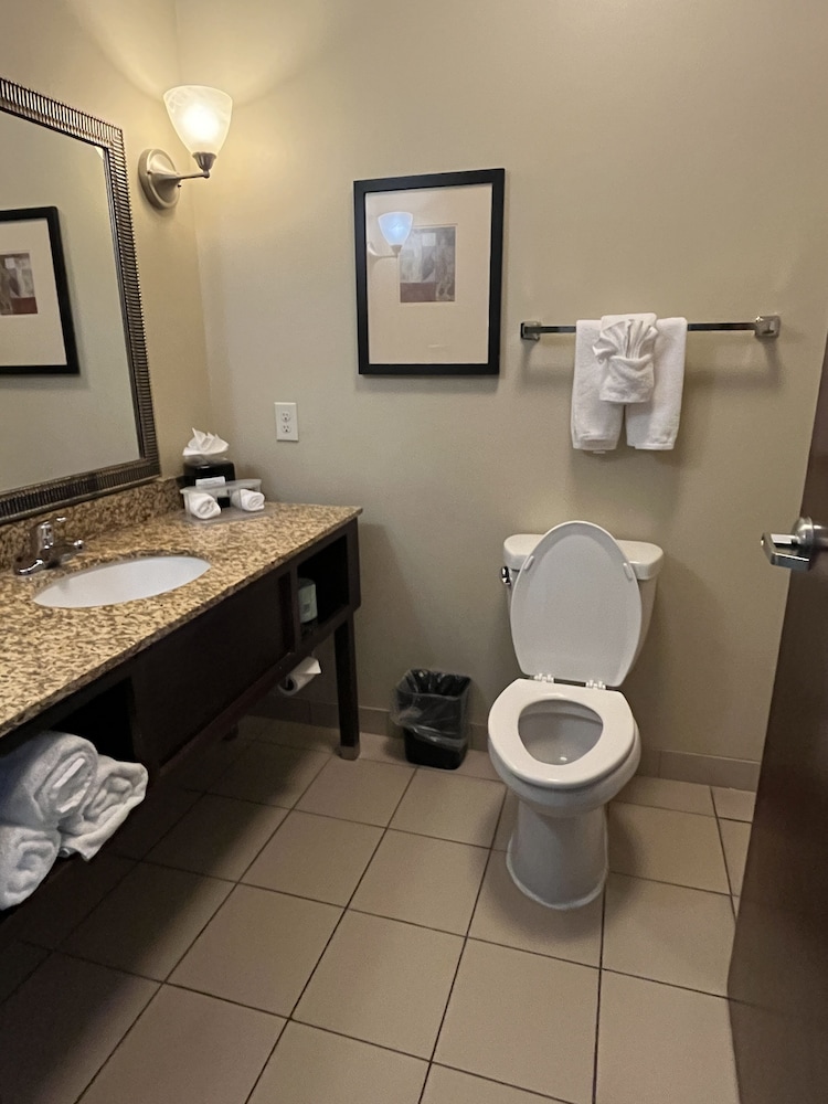 Holiday Inn Express Hotel and Suites Deming Mimbres Valley - photo 15