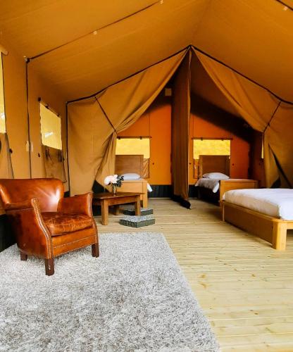 Chrysalide - carbon neutral hotel in Unknown City