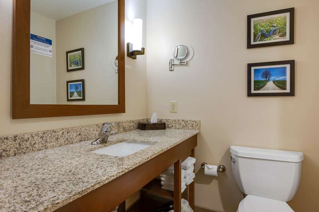 Comfort Suites Hotel and Conference Center - photo 24