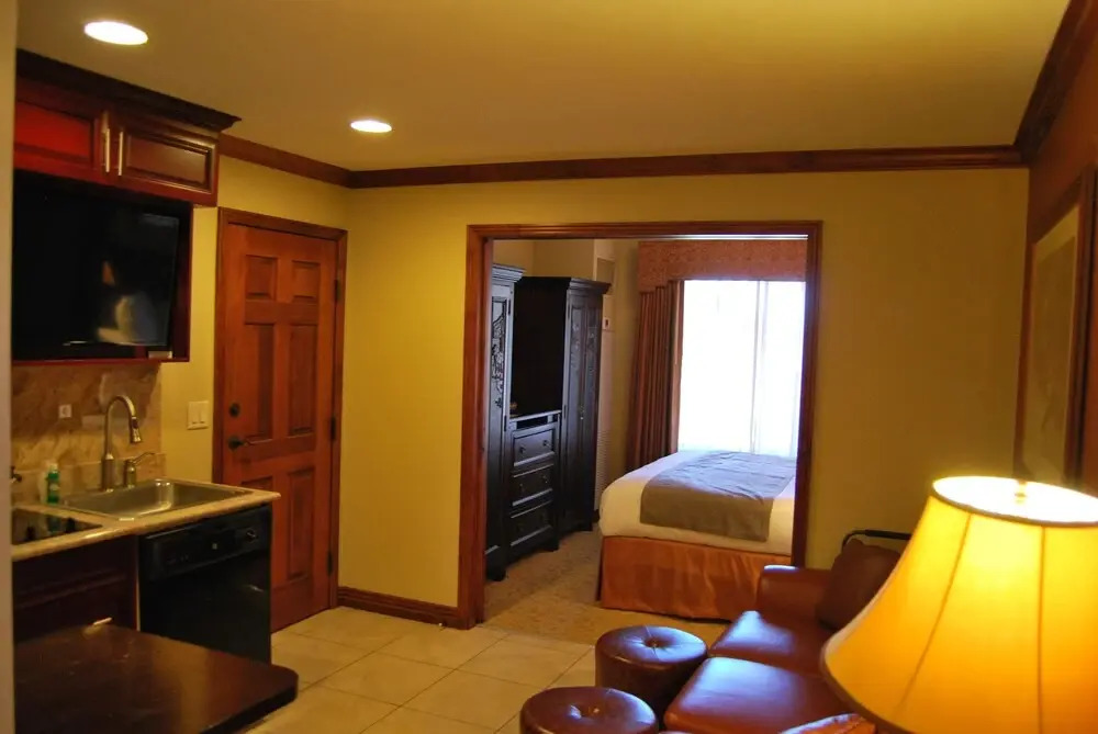 White Pines Studio at Westgate Vista - photo 4