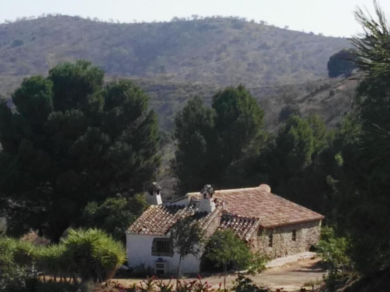 Pinar El Almendra — Alora — photo 2