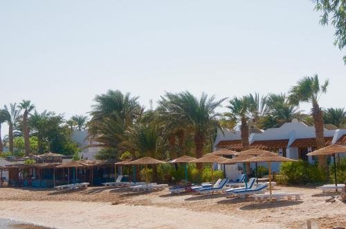 Orca Village — Safaga