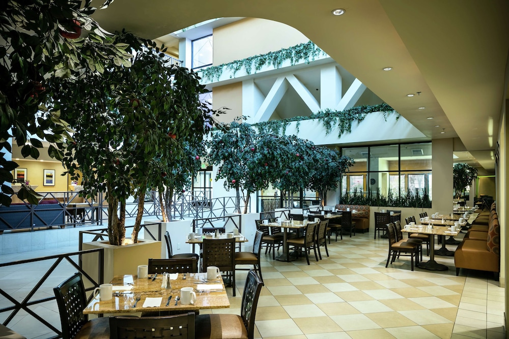 Hilton Stockton - photo 15