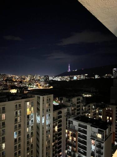 One Bedroom Apartment in Saburtalo District