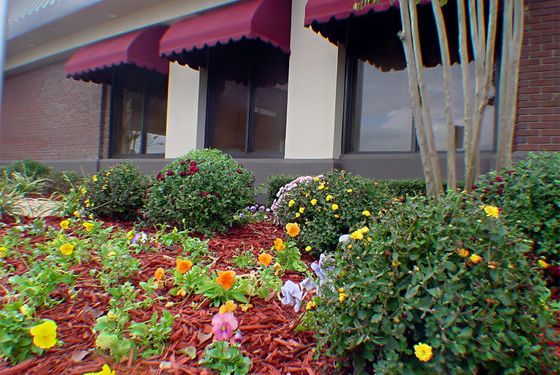 Haven Hotel - photo 35