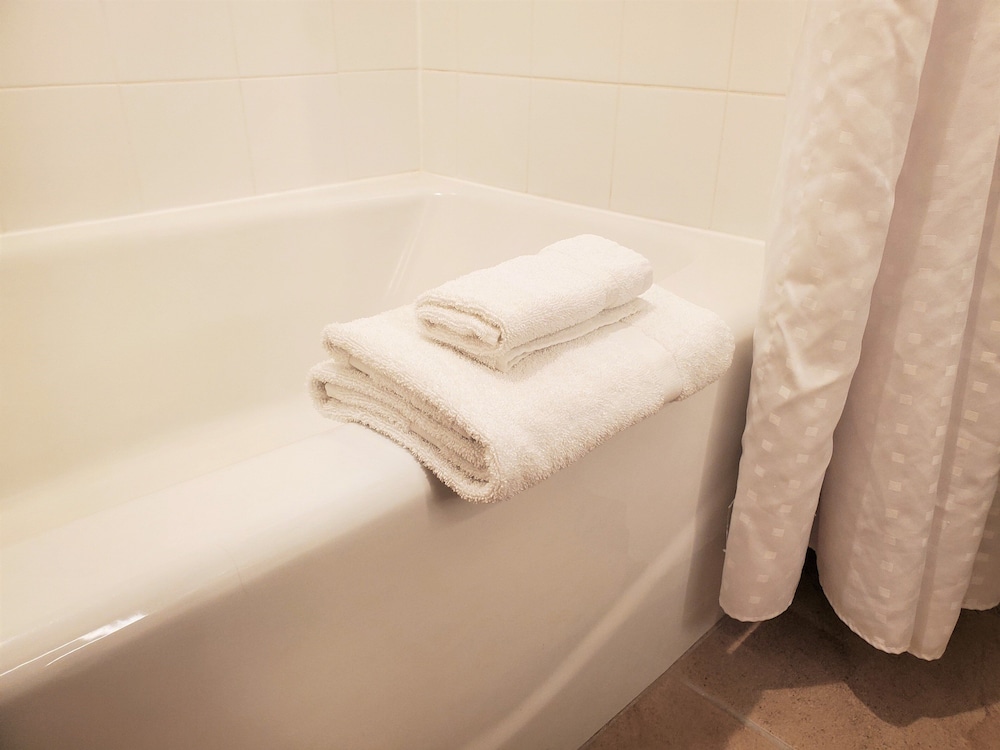 Holiday Inn Express & Suites Cheney by IHG - photo 11