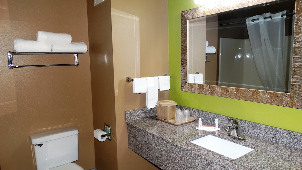 Oak Tree Inn & Suites - photo 26