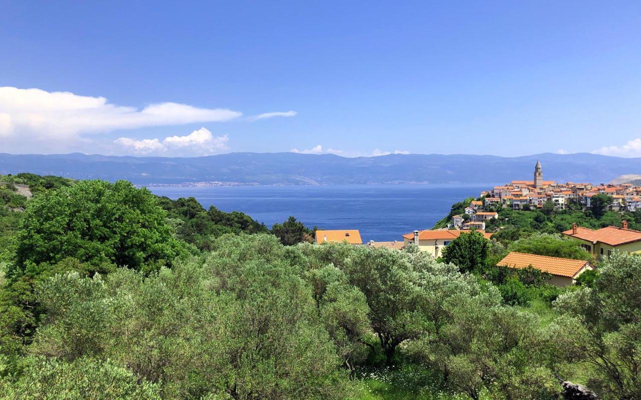 Luxusvilla Manatis mit Pool — Vrbnik — photo 3