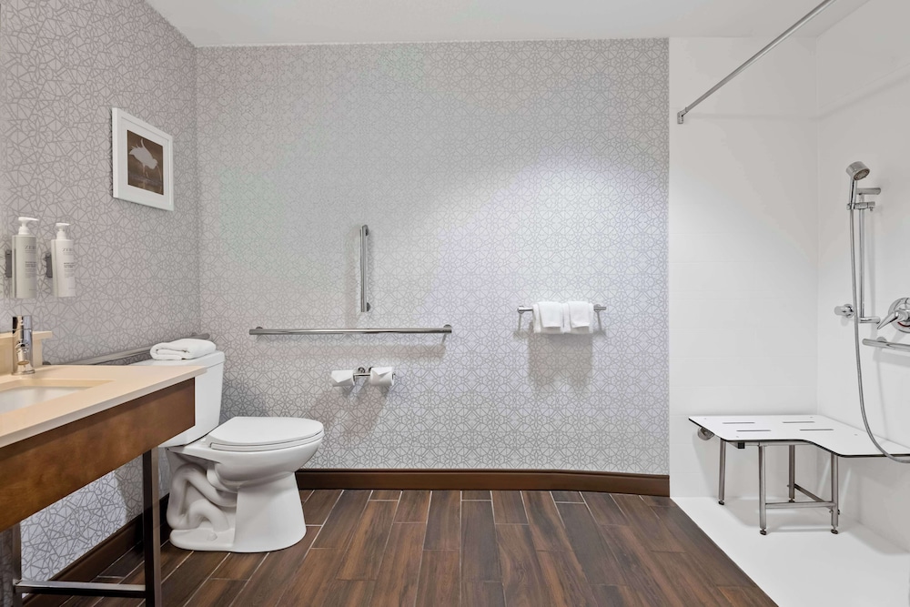 Hampton Inn Debary Deltona - photo 22