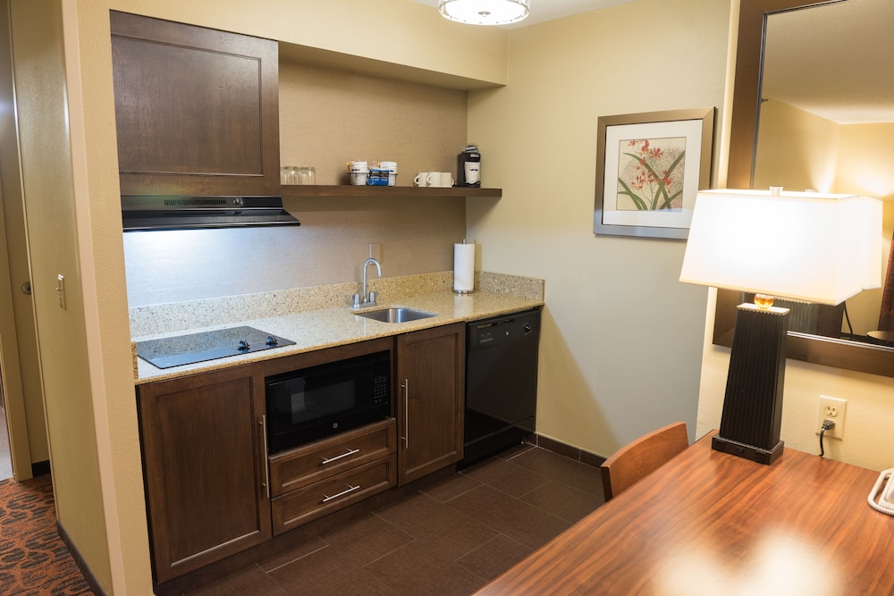 Hampton Inn & Suites Tampa North - photo 23