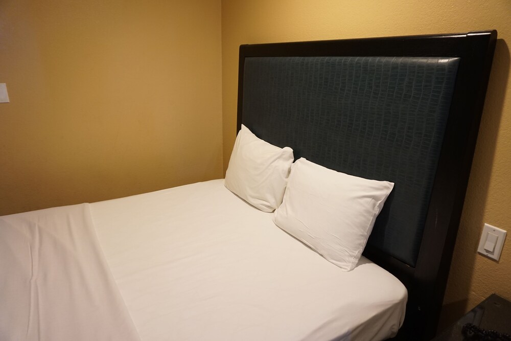 Hollywood Inn Express South - photo 10