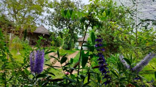 Podocarpus cottages — Naro Moru — photo 2