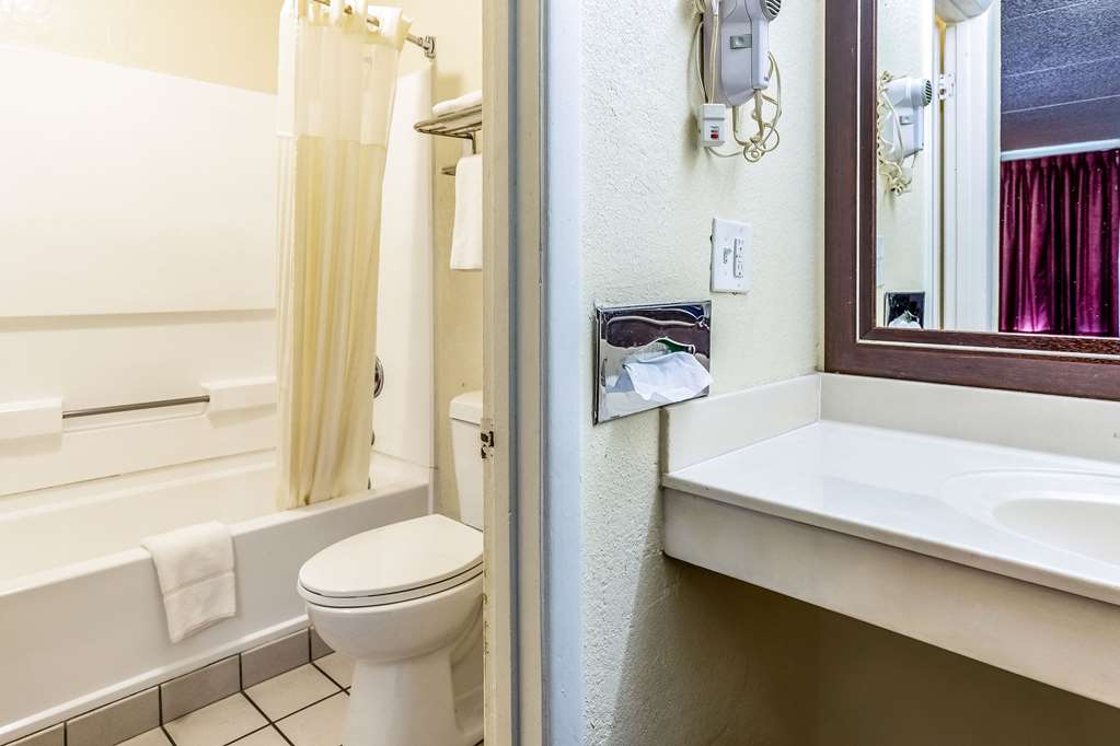 Econo Lodge Knoxville West Turkey Creek - photo 18