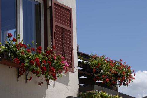 Hotel Dolomiten in Collalbo, Italy