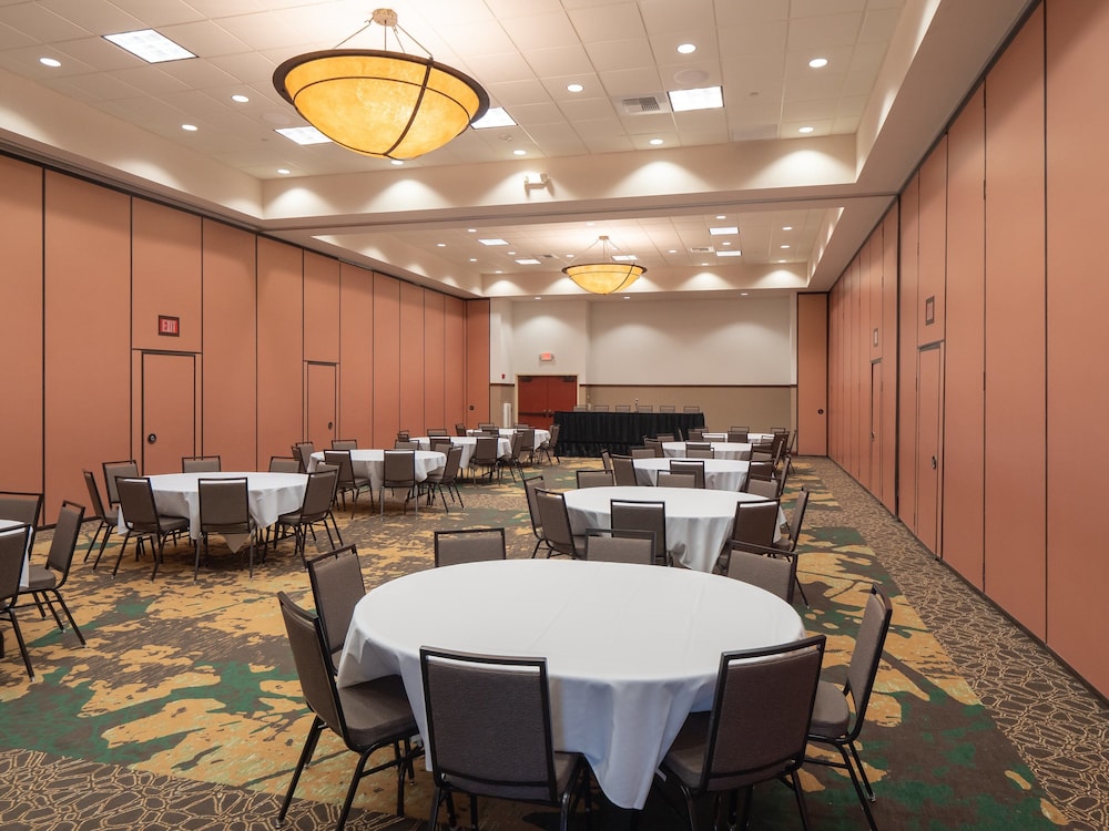 Holiday Inn Stevens Point Convention Ctr by IHG - photo 45