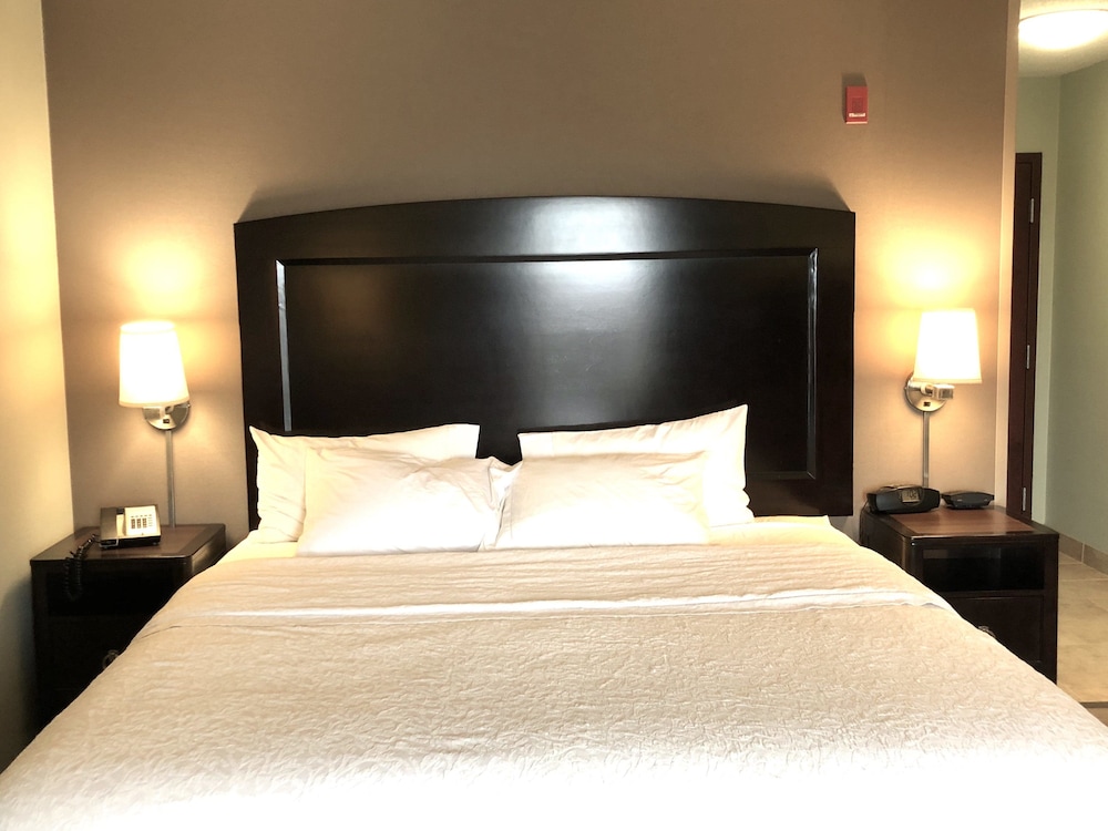 Hampton Inn & Suites Detroit Canton - photo 24