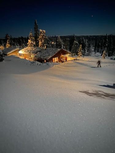 Hytte sentralt Ljøsheim Ringsaker in Unknown City, Norway