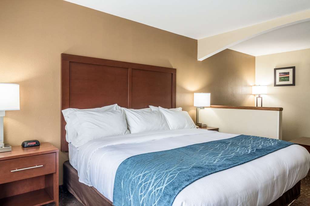 Comfort Inn & Suites Hannibal - photo 23