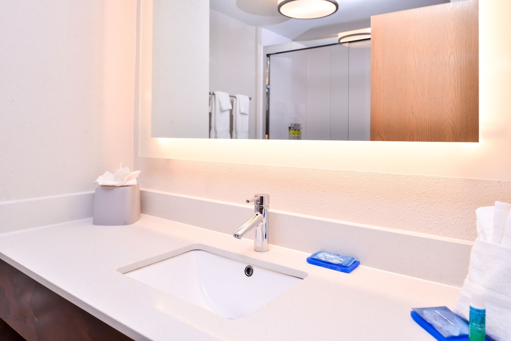 Holiday Inn Express Hotel & Suites Tampa Anderson Rd Veteran by IHG - photo 31