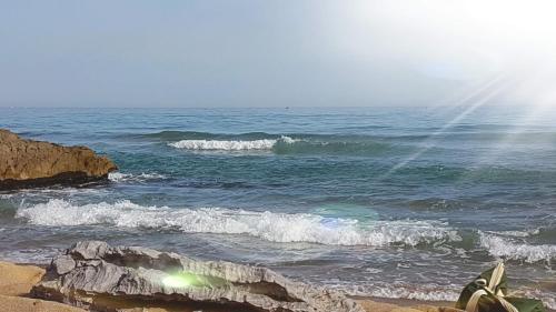 Bambou Nature in Fleury, France