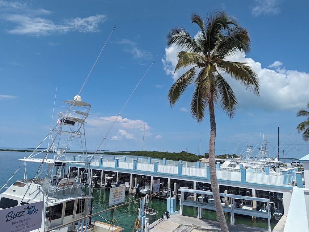 Bud N' Mary's Fishing Marina - photo 135