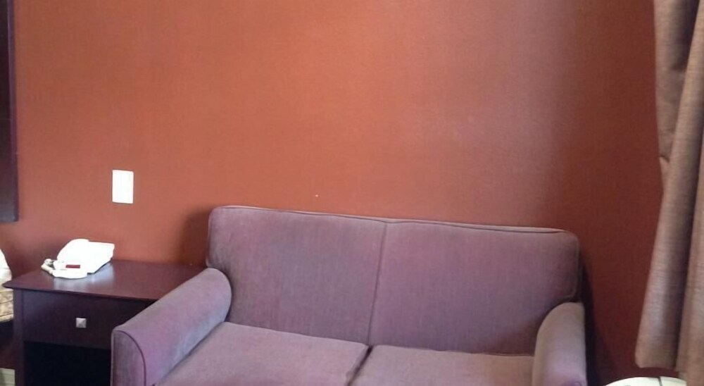 Palace Inn Fairbanks - photo 11