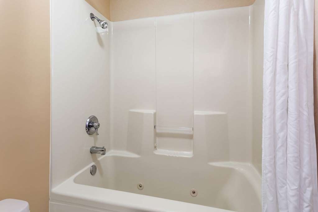 Baymont by Wyndham Easley Greenville - photo 21