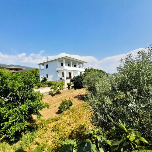 Villa Besart — 4-Star Luxury Hotel in Berat, Albania