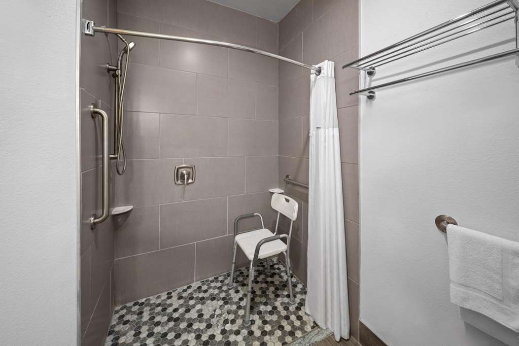Days Inn & Suites by Wyndham Lubbock Medical Center - photo 44