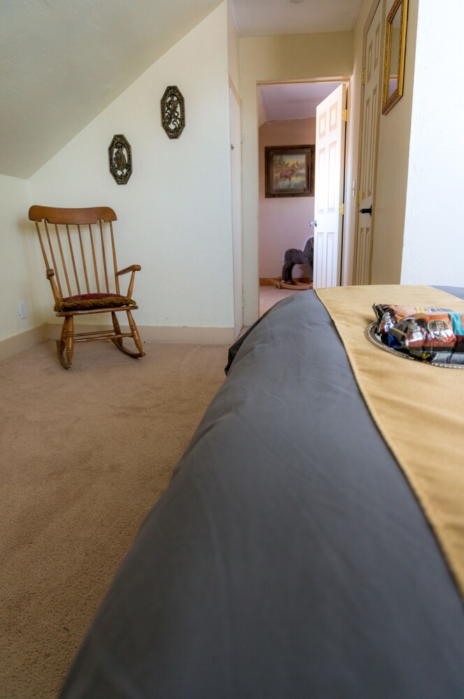 Indiana Jones Bed & Breakfast - photo 9