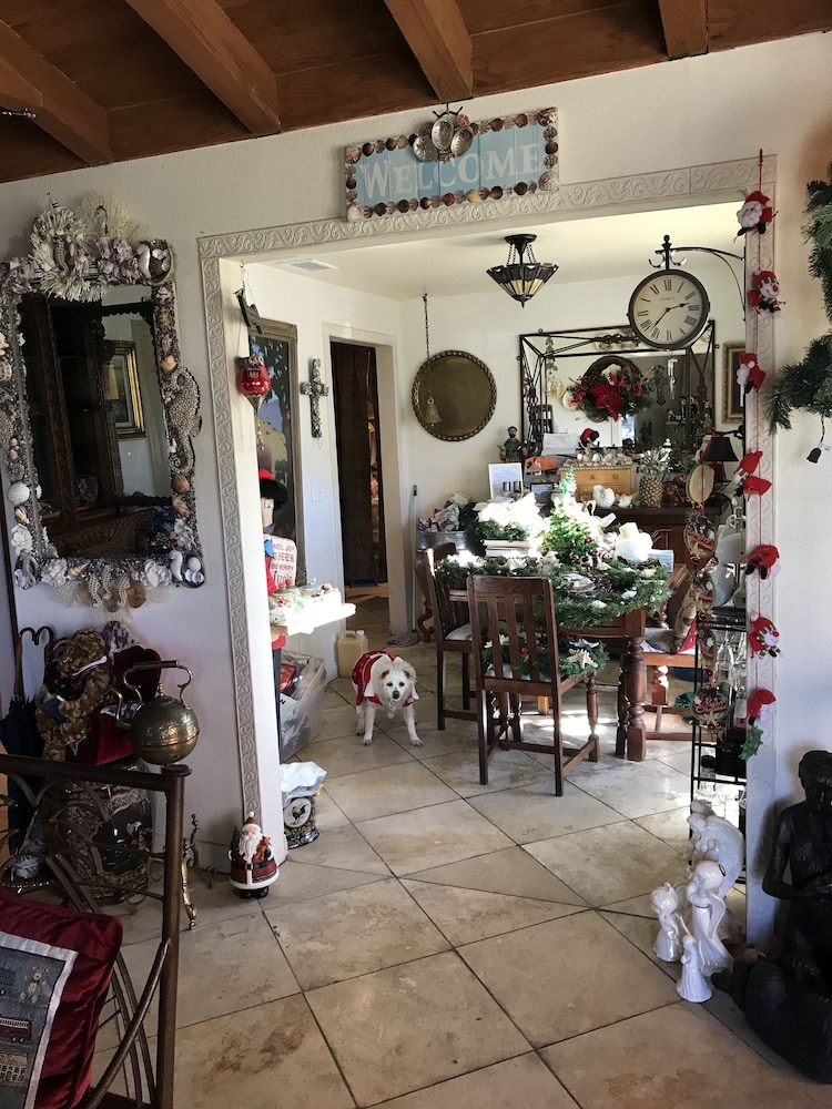 Always Inn San Clemente Bed & Breakfast - photo 59