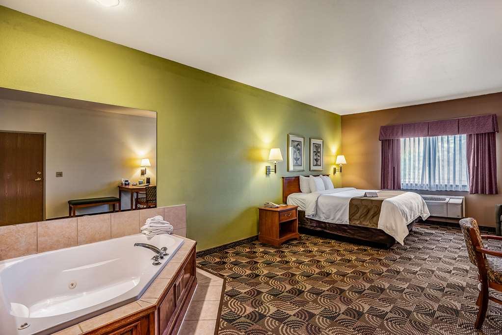 Quality Inn & Suites Hannibal West - photo 14