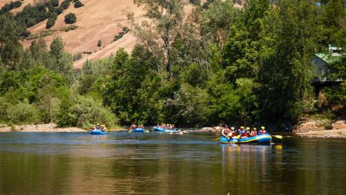 Ponderosa RV Resort - photo 21