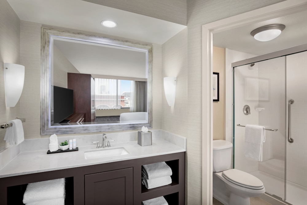 Embassy Suites by Hilton Fort Worth Downtown - photo 14